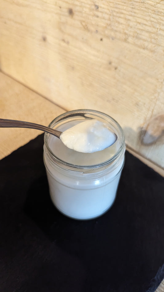 Yogurt intero di capra